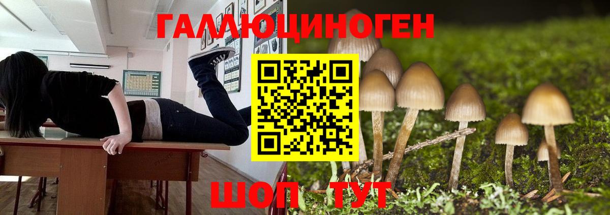 Псилоцибиновые грибы Cubensis Воронеж